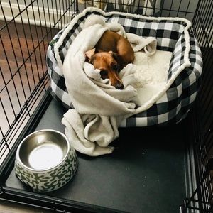 Meet your Posher, Tessa